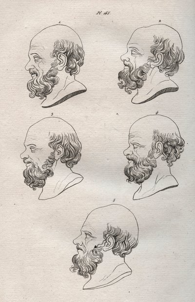 Physiognomy - Physiognomony - Several heads of the Greek philosopher Socrates (ca. 469 BC-399 BC) (Bust of Socrates (ca 469 BC-399 BC), Athenian philosopher) engraving of 1808 in “The art of knowing men through physiognomy” by Johann Gaspar (Gaspard) Lavat av Anonymous Anonymous