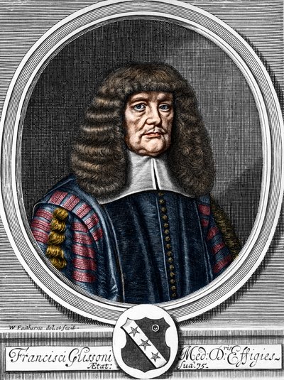 Portrett av Francis Glisson (1599-1677) britisk lege, anatom. av Anonymous Anonymous