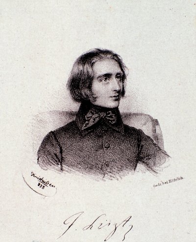 Portrett av den ungarske komponisten Franz Liszt (1811-1886) Gravering. 1800-tallet. Milanesisk privatsamling av Anonymous Anonymous