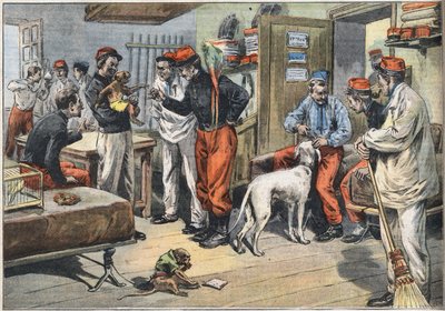 Retur fra Afrika av den franske hæren soldater sendt til Tunisia. Gravering fra avisen "" Le Petité Parisien"", 7/06/1908. Privat samling. av Anonymous Anonymous