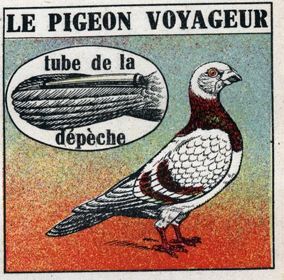 Postkontoret: Reisendeduen. Anonym illustrasjon fra 1925. Privat samling. av Anonymous Anonymous