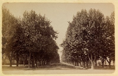 Byen Marseille og dens omgivelser rundt 1885 -1890: Prado, privat samling av Anonymous Anonymous