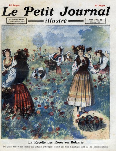 Unge kvinner i tradisjonell bulgarsk kostyme plukker roser for produksjon av rosevann. Illustrasjon hentet fra "" Le petit journal illustrious""" av 12.06.1921. Privat samling av Anonymous Anonymous