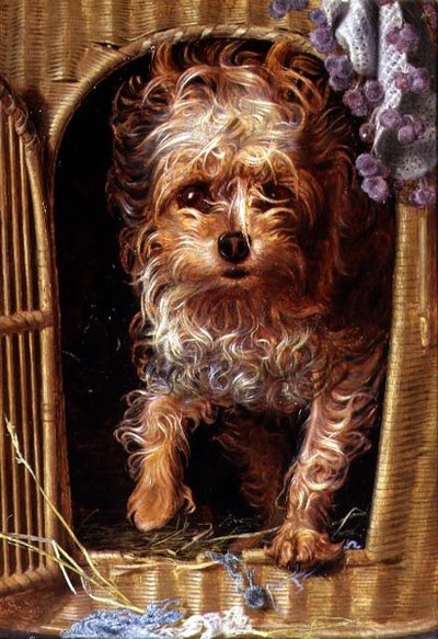 Darby, en Yorkshire Terrier (olje på panel) av Anthony Frederick Augustus Sandys