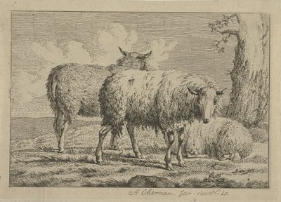 Tre sauer ved et tre Studier av kyr, sauer og geiter (serietittel) av Anthony Oberman