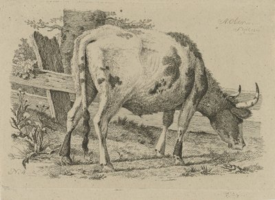 Beitende ku ved et gjerde Studier av kyr, sauer og geiter (serietittel) av Anthony Oberman
