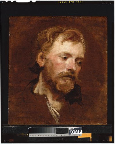 En skjeggete mann, et studie av Anthony van Dyck