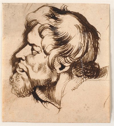 Hodet til en mann av Anthony van Dyck