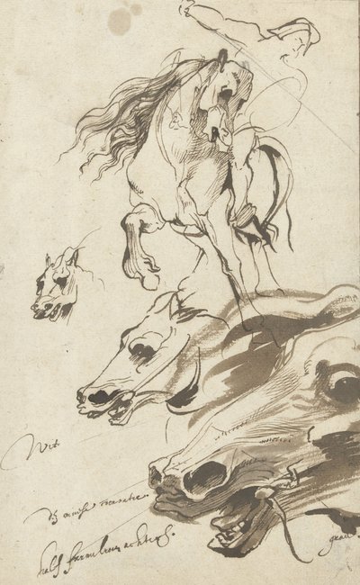Studie av rytter og hestehode, 1620-1 (penn og wc på papir) av Anthony van Dyck
