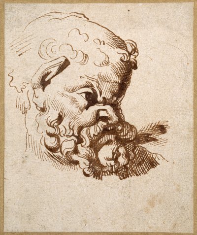 Studie av et antikt hode av Silenus (penn og blekk på papir) av Anthony van Dyck
