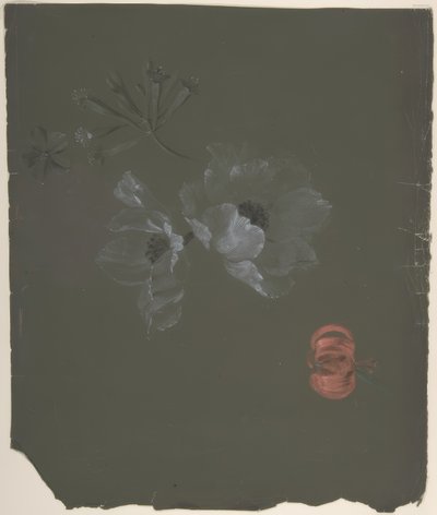 Blomsterdesign av Antoine Berjon
