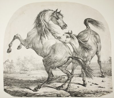 Wild Horses Fighting, ca. 1820 av Antoine Charles Horace Vernet