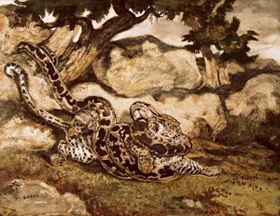 A Python Killing a Tiger (wc og gouache på papir) av Antoine Louis Barye