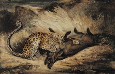 Leopard spiser et villsvin. av Antoine Louis Barye