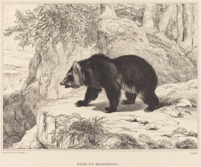 Mississippi bjørn av Antoine Louis Barye
