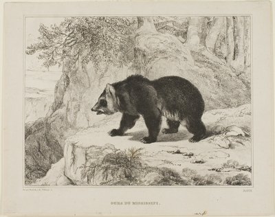 Mississippi bjørn av Antoine Louis Barye