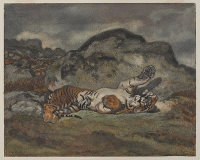 Rolling Tiger, ca. 1840 (wc på papir) av Antoine Louis Barye