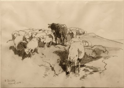 Storfe og sauer av Anton Braith