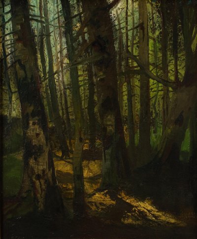  av Anton Müller Wischin