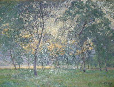  av Anton Nowak