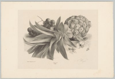 Ananas og druer Flower and Fruit Studies (...) 10. episode (serietittel) av Anton Weiss