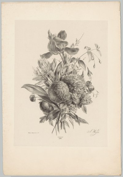 Nelliker og liljer Flower and Fruit Studies (...) 10. episode (serietittel) av Anton Weiss