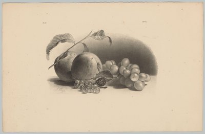 Epler, bær, bjørnebær og druer Flower and Fruit Studies (...) 3. episode (serietittel) av Anton Weiss