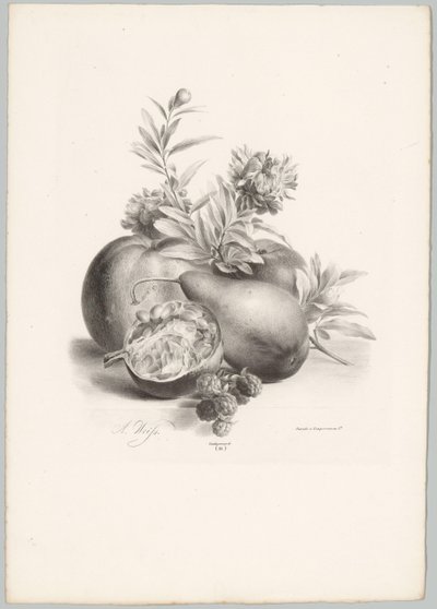 Blomster, epler, pære, granateple og bjørnebær Flower and Fruit Studies (...) 10. episode (serietittel) av Anton Weiss