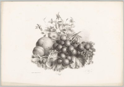 Blomster, fersken, nektarin, druer og bjørnebær Flower and Fruit Studies (...) 10. episode (serietittel) av Anton Weiss