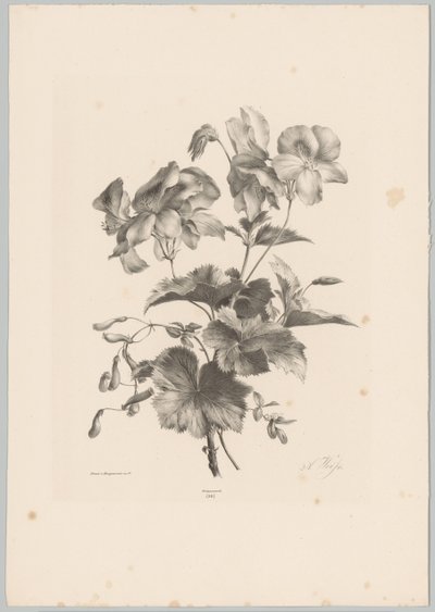 Diverse bloemen Bloem en Fruit Studien (...) 10e aflevering (series title)   1373560   no       norwegian Successfully Translated  Original: Jito Tenno (Workers Dyeing Cloth), from Hyakunin Isshu ubaga Etoki (The Hundred Poems Explained by the Nurse) Trans av Anton Weiss