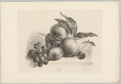 Druer, plommer, fersken og kirsebær Flower and Fruit Studies (...) 10. episode (serietittel) av Anton Weiss