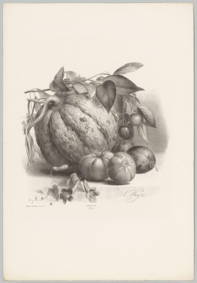 Gresskar, tomater og kirsebær Flower and Fruit Studies (...) 10. episode (serietittel) av Anton Weiss
