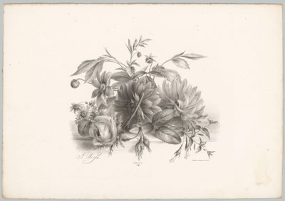 Roser, georginer og fuchsia Flower and Fruit Studies (...) 10. episode (serietittel) av Anton Weiss