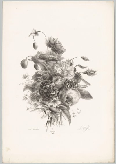 Roser og andre blomster Flower and Fruit Studies (...) 10. episode (serietittel) av Anton Weiss