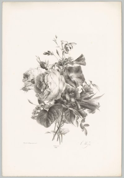 Roser og kalkformede blomster Flower and Fruit Studies (...) 10. episode (serietittel) av Anton Weiss
