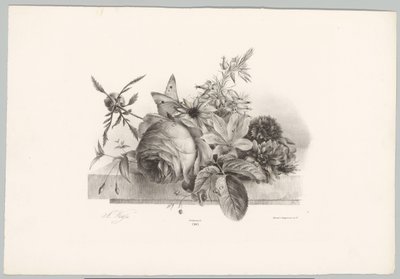 Roser, liljer, klokkeformede blomster og sommerfugl Flower and Fruit Studies (...) 10. episode (serietittel) av Anton Weiss