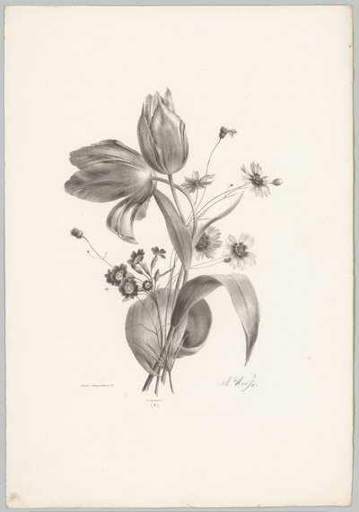 Tulipaner og tusenfryd Flower and Fruit Studies (...) 10. episode (serietittel) av Anton Weiss