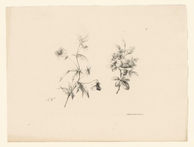to blomster Blomster og frukt (serietittel) av Anton Weiss