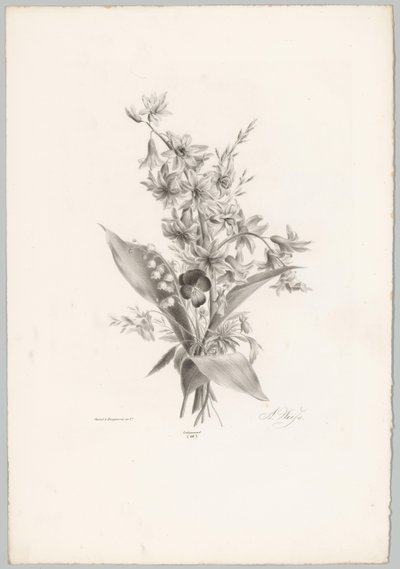 Stemorsblomst og hyasint og klokkeformede blomster Flower and Fruit Studies (...) 10. episode (serietittel) av Anton Weiss