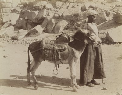 Bourier og Bouriquer, Egypt av Antonio Beato