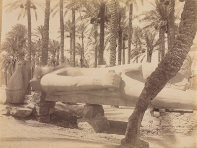 Statue av Ramesses ved Saqqara, ca. 1870-1880-årene. av Antonio Beato