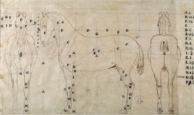 Studie for en hest for et ridemonument (tegning av Antonio Canova