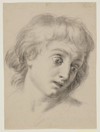 Hodet til en gutt av Antonio Cavallucci