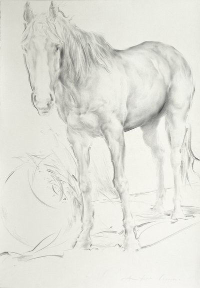 Horse at Coolmore, 1990 (kull på papir) av Antonio Ciccone