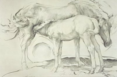 Horses at Coolmore, 1990 (kull på papir) av Antonio Ciccone