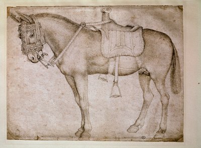 Mulesele. Tegning av Antonio Pisano dit il Pisanello (1380-1455) av Antonio Pisanello
