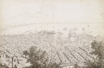En panoramautsikt over Napoli av Antonio Senape