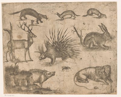 Studieark med forskjellige dyr av Antonio Tempesta (attributed to)