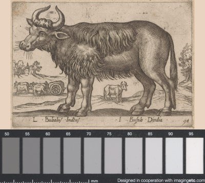 bøffel L Bubalus Indicus/ I Bufola Dindia (tittel på objekt) Dieren en fablewezens (serietittel) Ny samling av verdens mest nysgjerrige dyr (serietittel) av Antonio Tempesta