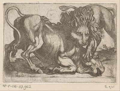 En løve angriper en okse Kampdyr (serietittel) av Antonio Tempesta